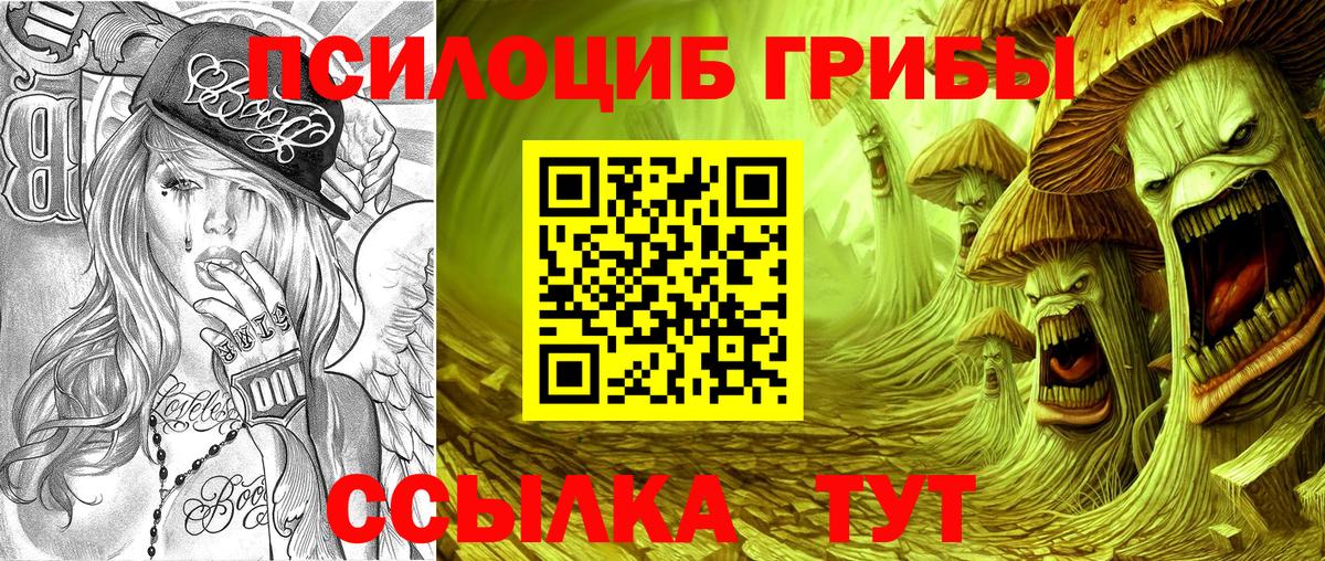Владивосток  Псилоцибиновые грибы Psilocybe  Галлюциногенные грибы Cubensis  продажа наркотиков  Вход с VPN 