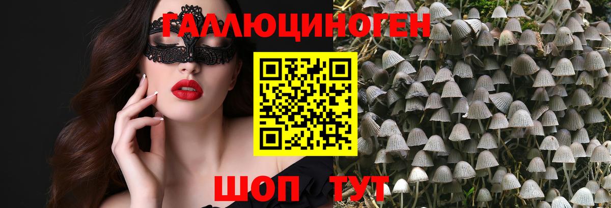 Псилоцибиновые грибы GOLDEN TEACHER Владивосток